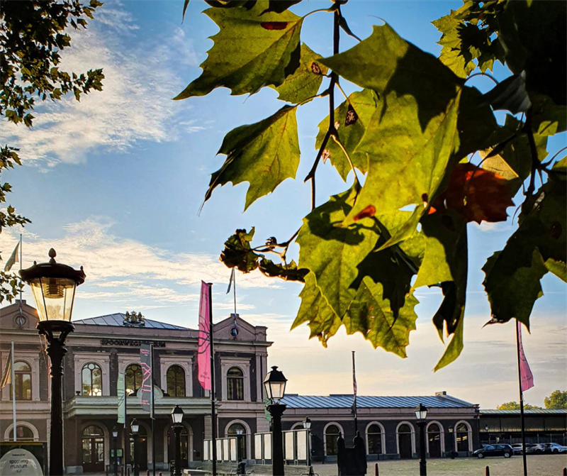 Vector-Smart-Object